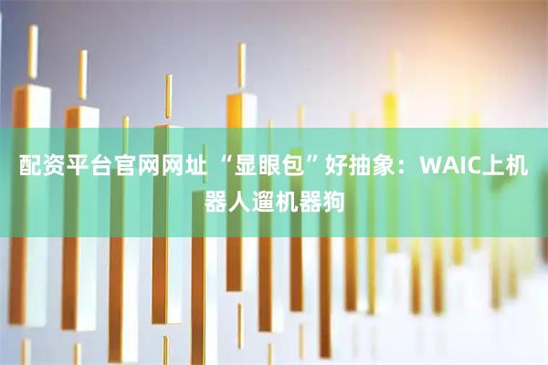 配资平台官网网址 “显眼包”好抽象：WAIC上机器人遛机器狗