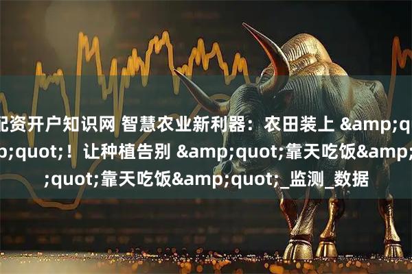 配资开户知识网 智慧农业新利器：农田装上 &quot;气象智囊&quot;！让种植告别 &quot;靠天吃饭&quot;_监测_数据