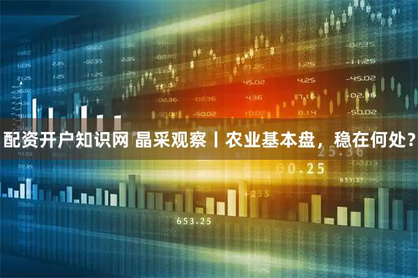 配资开户知识网 晶采观察丨农业基本盘，稳在何处？