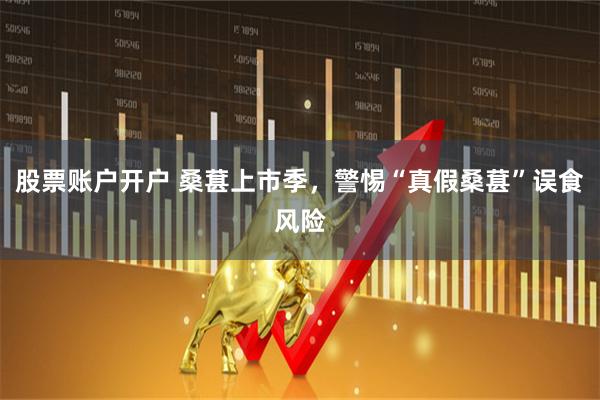 股票账户开户 桑葚上市季，警惕“真假桑葚”误食风险